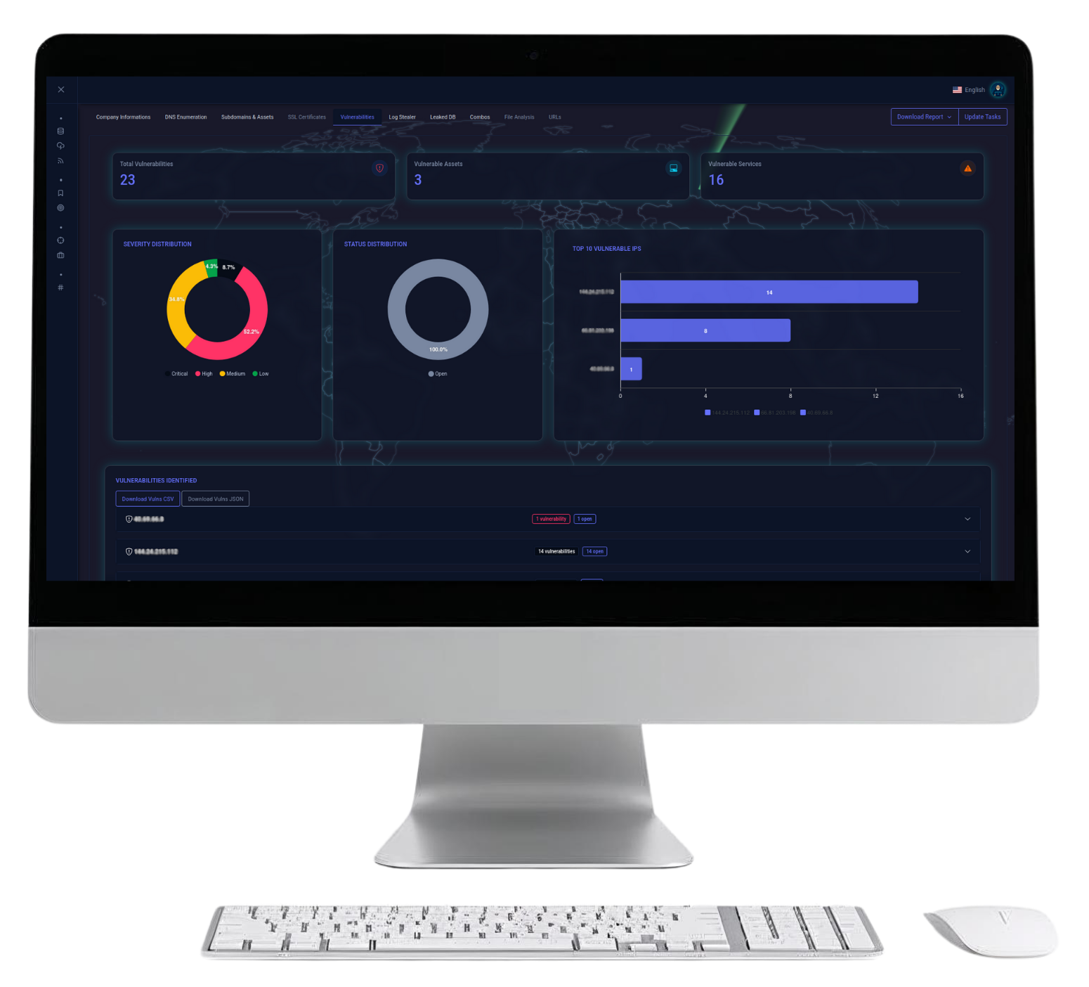 Vulnerability identification